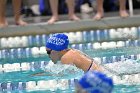 Swimming & Diving vs Babson  Swimming & Diving vs Babson College. - Photo by Keith Nordstrom : Wheaton, Swimming